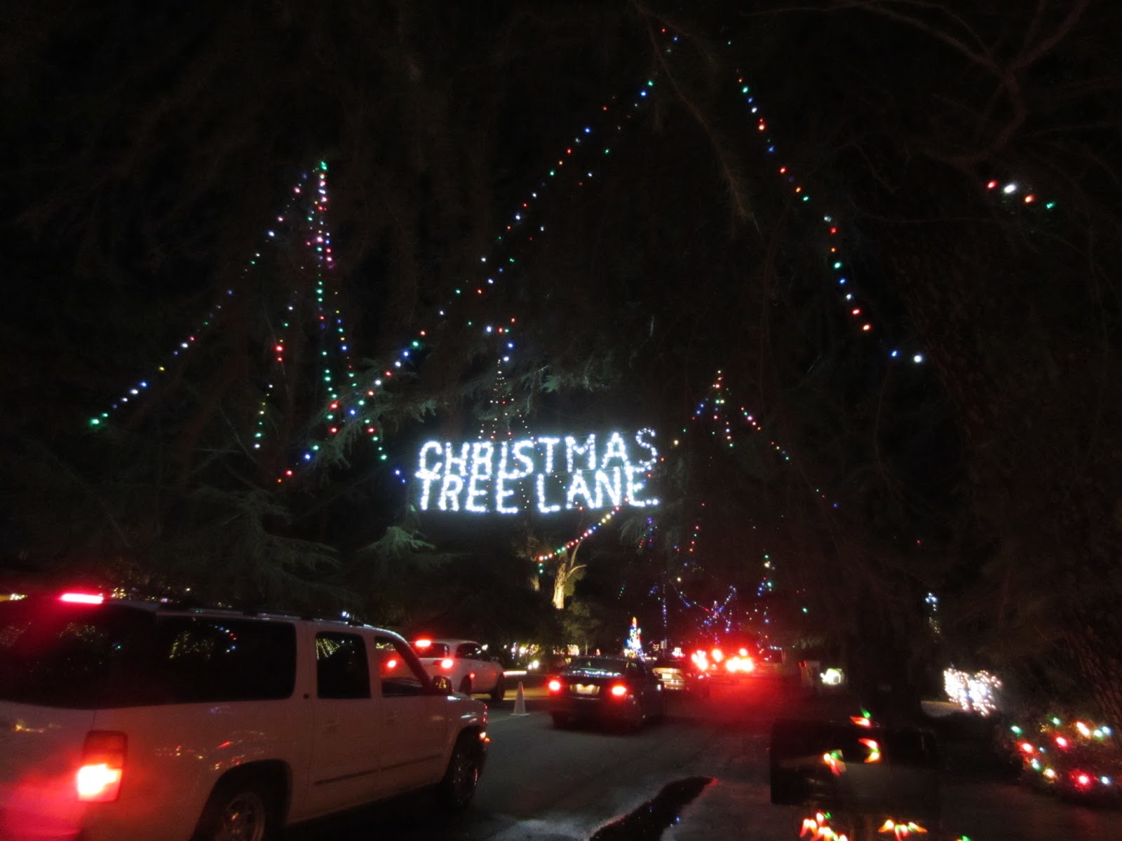 Jana's Place Our Walk Along Christmas Tree Lane