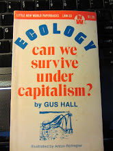 Can we survive under capitalism?