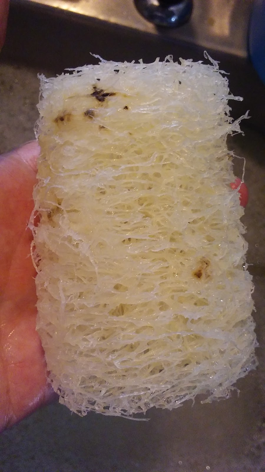 Red Robin Farm Loofahs and Chickens