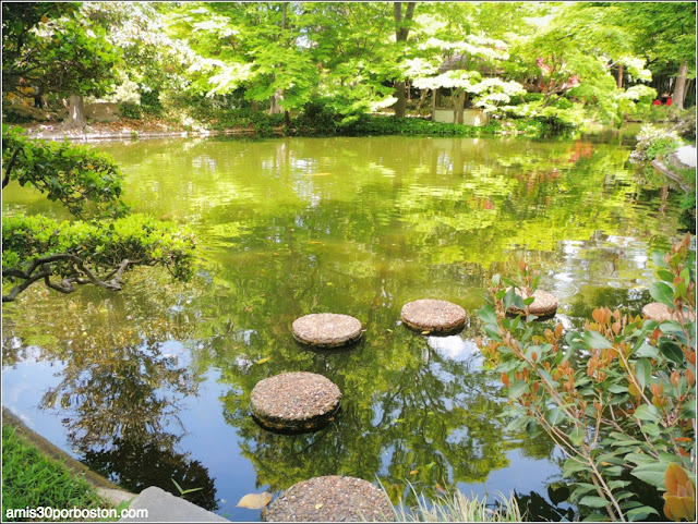 Stepping Stones en el Fort Worth Japanese Garden
