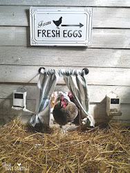 chicken diy coop drapes draft excerpted hacks keeping quick easy amazon project