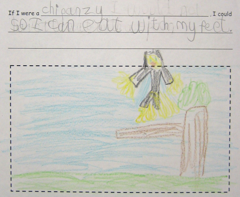 Garden City Library Goings-On: No One Told the Aardvark - Room 1