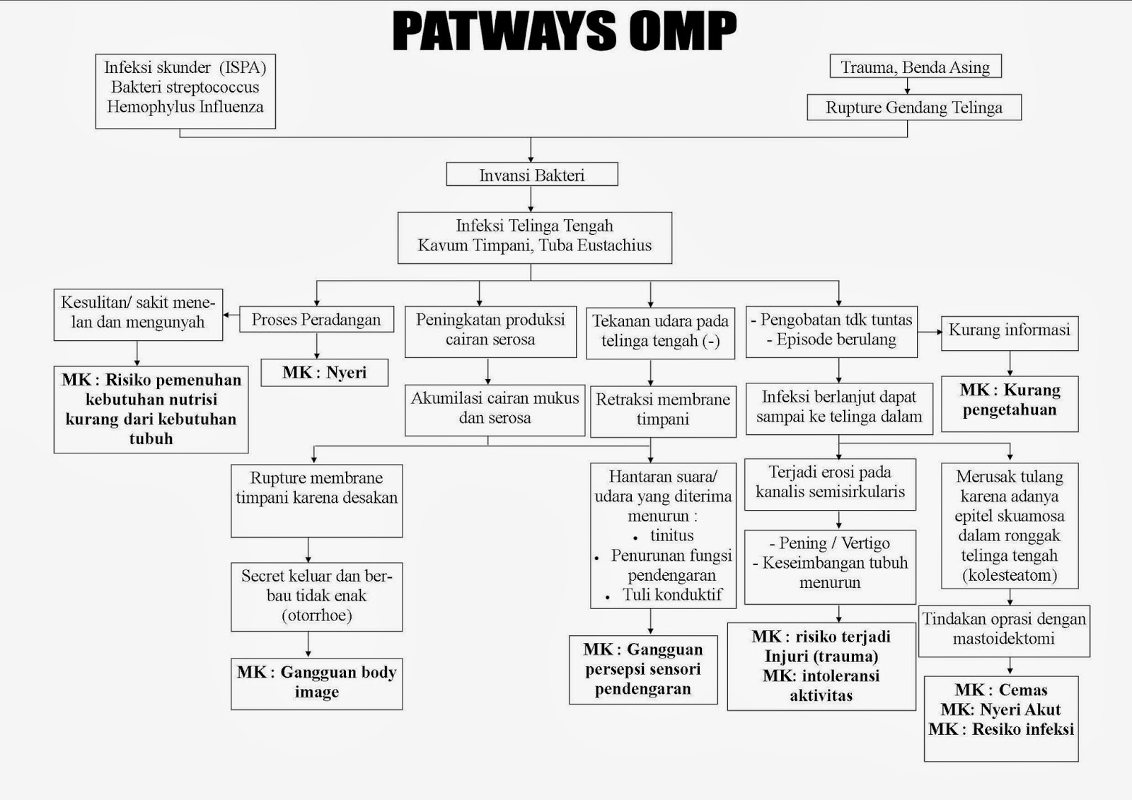 Asuhan Keperawatan Pada Pasien Otitis Media Purulenta Omp Sistem