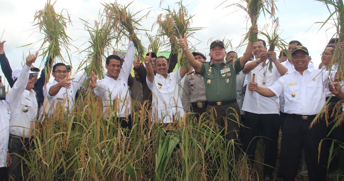 HUMAS KAB. PADANG LAWAS: CONTOH PIDATO KATA SAMBUTAN BUPATI PADA