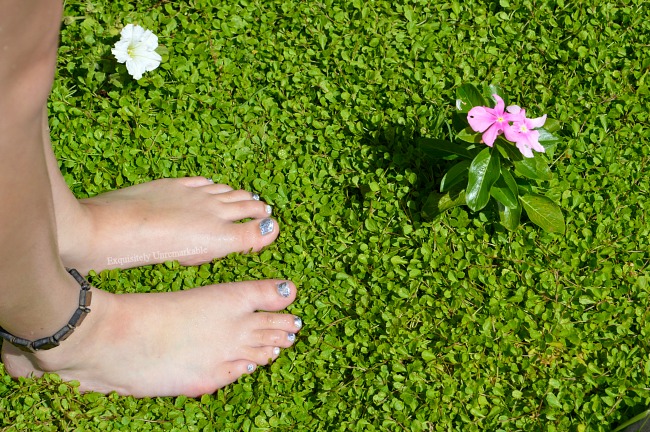 Barefoot toes in the lawn