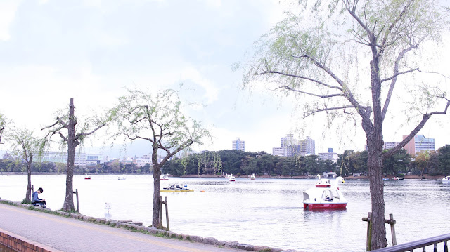 Japanese Garden at Ohori Park