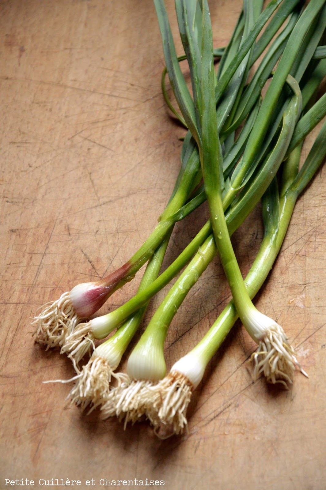 Aillet Recette : Petite Cuillère Et Charentaises: L&#039;aillet : Infos, Recettes Et Traditions