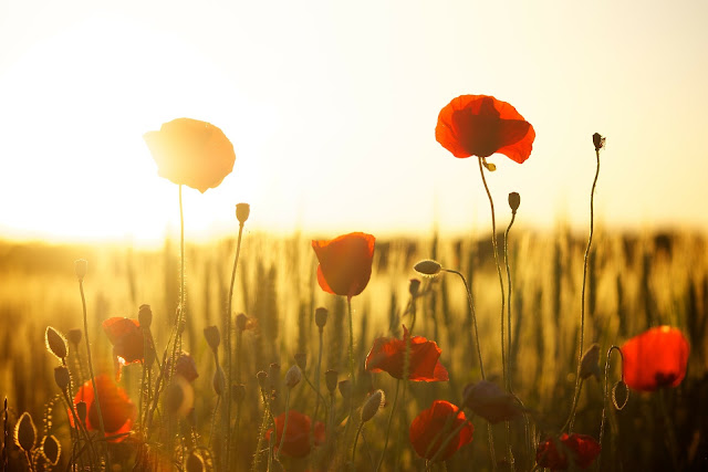 battlefields in France