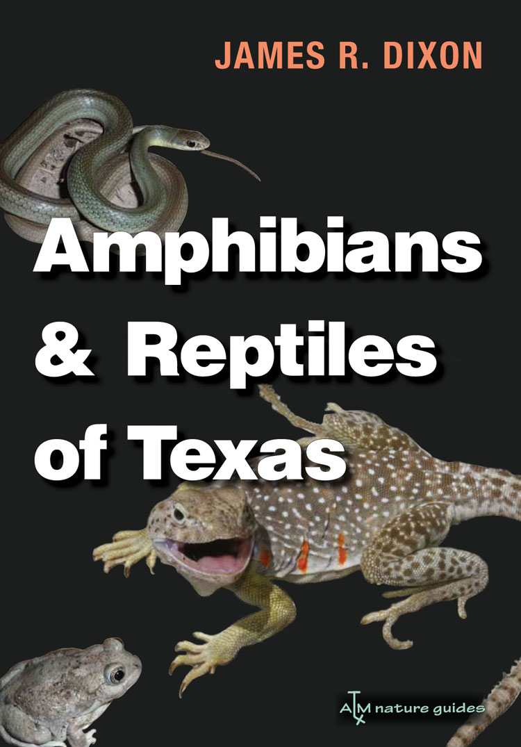 Texas A&M University Press: You're Ultimate Guide to Texas Reptiles and