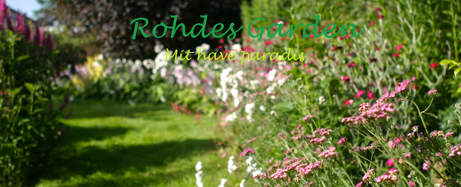 Rohdes Garden