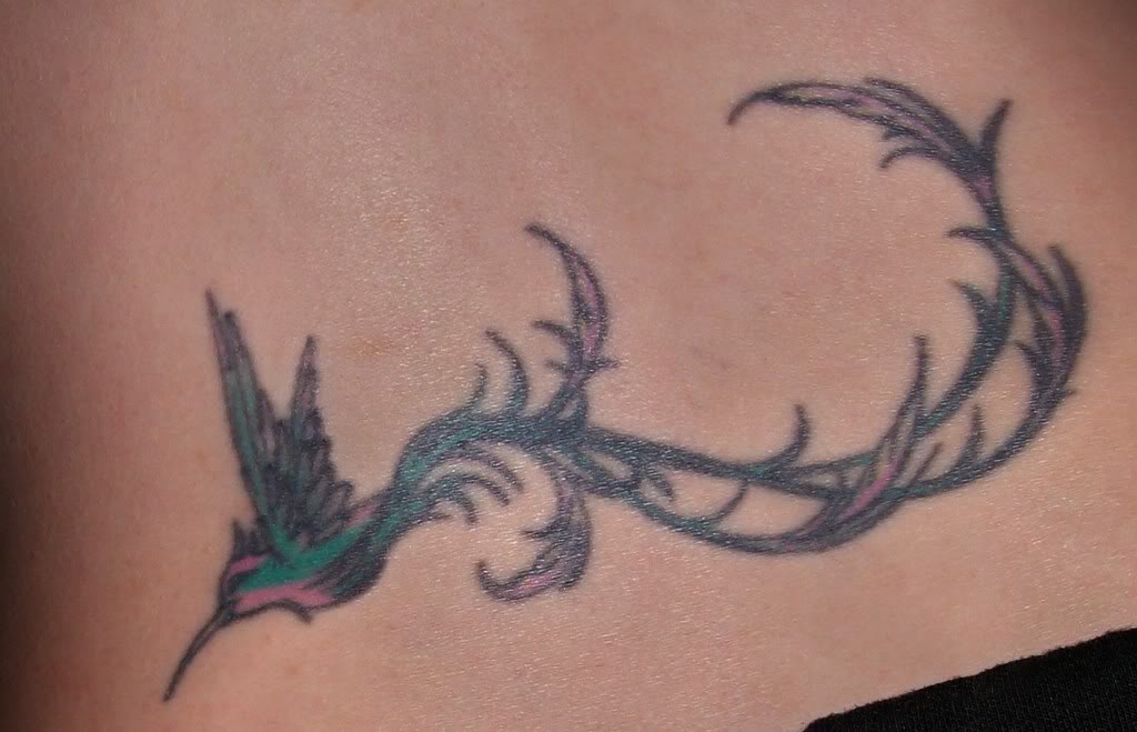 Humming Bird Tattoos: Hummingbird Tattoos On Lower Back