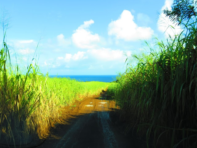 Blog Apaixonados por Viagens - Havaí / Hawaii , por Fernanda Magalhães