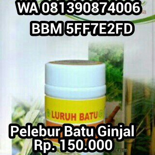 mengobati batu ginjal