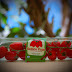 SAMOS POPS snack tomato - Gift edition New Family Member of Hellenic Greenhouses SA 