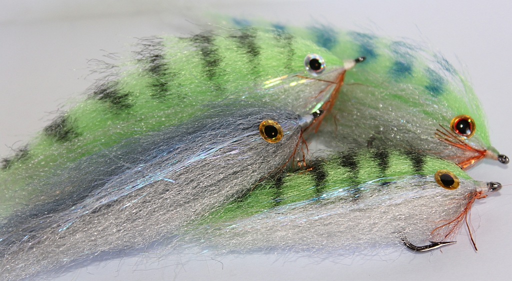 The African Fly Angler Minnow patterns