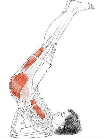 Yoga Poses For Thyroid - FITNESS Duniya