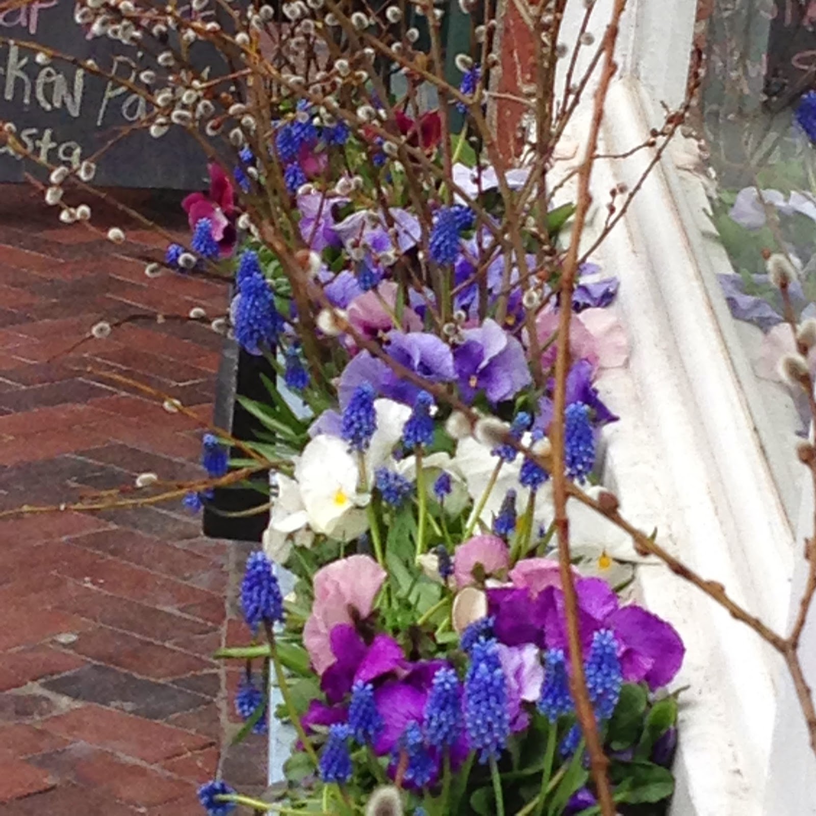 DesignsandEvents Window Boxes of Newburyport