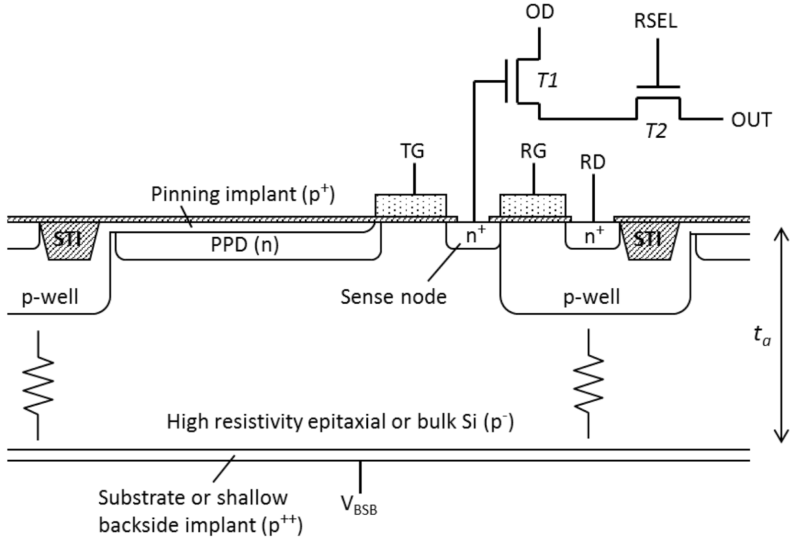 Image Sensors World 4T Pixel with Reverse Substrate Bias