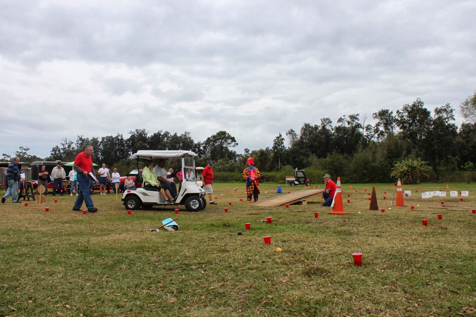 The Miedema's Golf Cart Rodeo