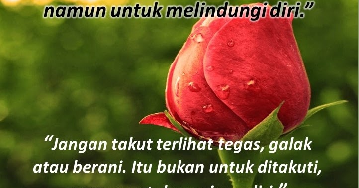 Paling Bagus 28 Quotes  Tentang Bunga  Mawar  Yang Layu 