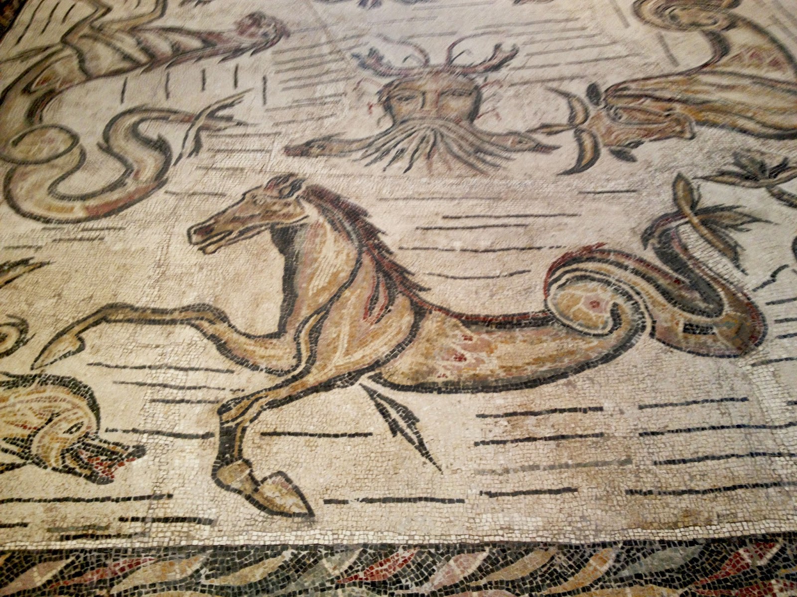 hippocampus mythology brain hippocampus mythology brain