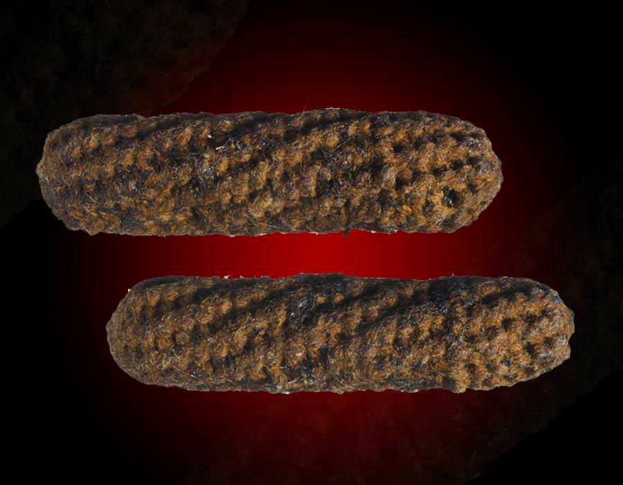 Maxamulet Collection: Takrut Yant Kru Lang Ser Luang Phor Yeam Wat