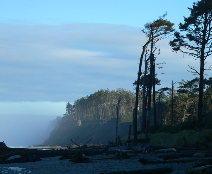 Living and Dyeing Under the Big Sky Travel Log Quinault Reservation