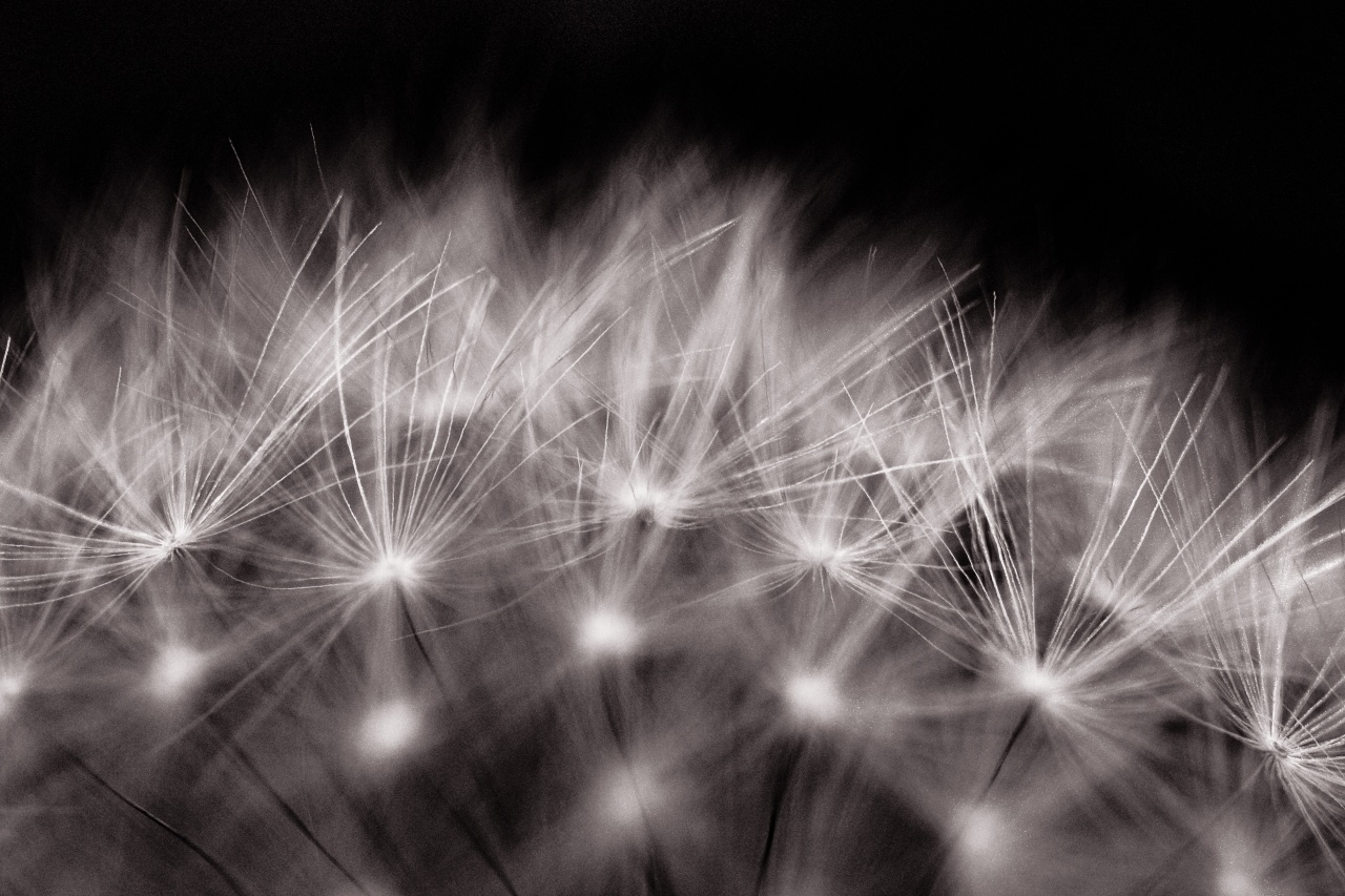 HIGH DEFINITION BLACK & WHITE WALLPAPERS | Top Hd Wallpapersz