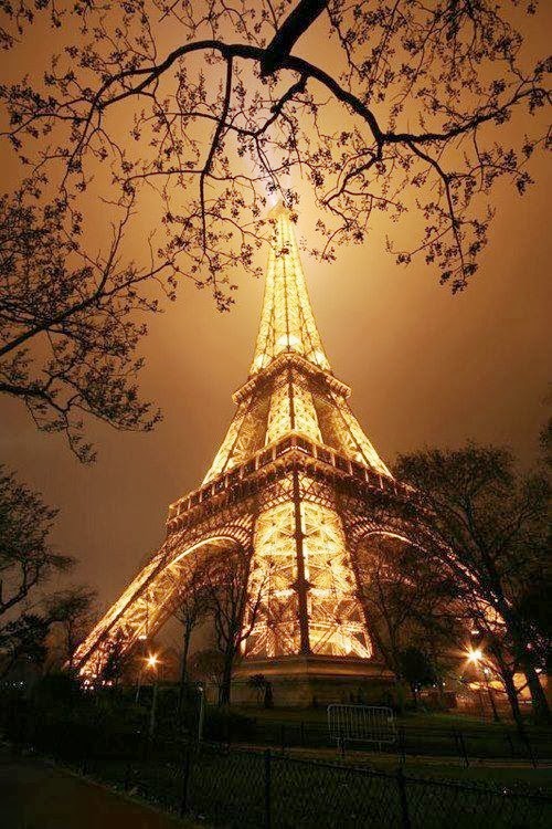 Eiffel Tower lights up the night