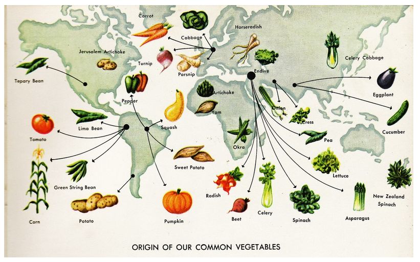 South Branch Science / Wood House Research History of our Modern
