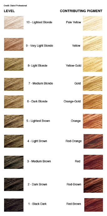 (x-post from /r/FancyFollicles)Wella Color Charm Developer 20 dupe? : Hair