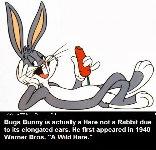 Did you know that Bugs Bunny is not a Rabbit.... - Facts Store