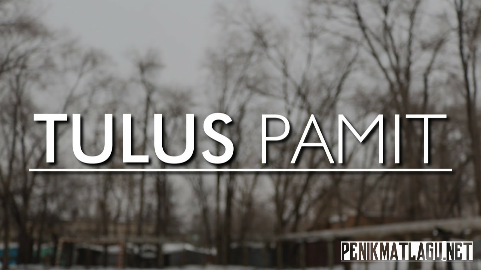 Makna dan Lirik Lagu Pamit Tulus Penikmat Lagu