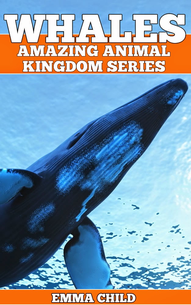 Children's Books WHALES Fun Facts and Amazing Photos of Animals in