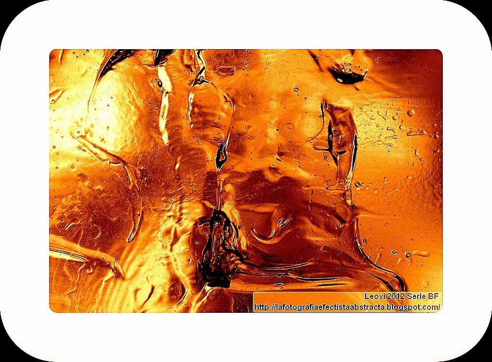 Foto Abstracta 3022 Una brecha de vida en el desierto - A gap of life in the desert Foto Abstracta 3022 Una brecha de vida en el desierto - A gap of life in the desert