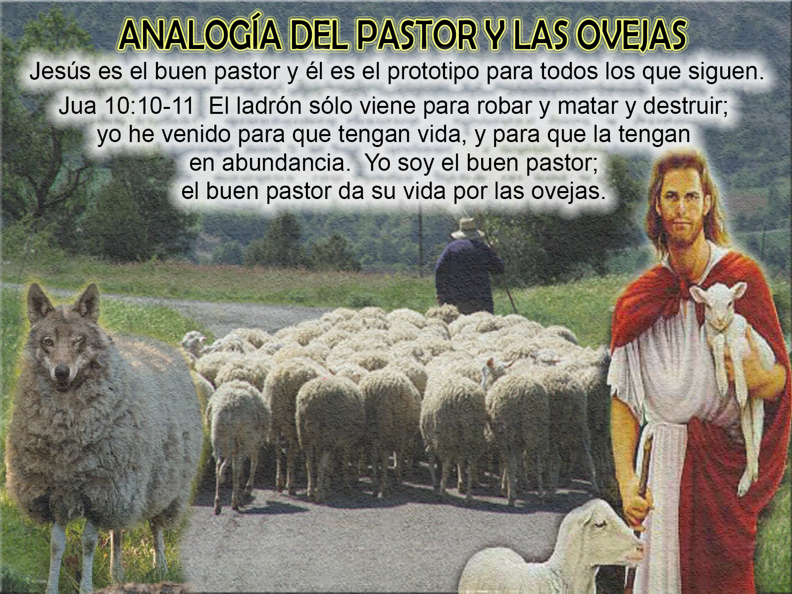 Sembrando La Verdad ANALOGÍA DEL PASTOR Y LAS OVEJAS (3ra PARTE) Sembrando La Verdad ANALOGÍA DEL PASTOR Y LAS OVEJAS (3ra PARTE)