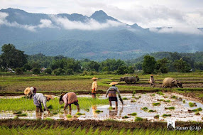 Beauty of Myanmar