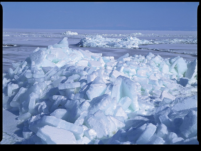 Лед 5 букв на т. Интенсивный дрейф льдов. Напор льда и интенсивный дрейф льда. Дрейфующие льды в Северном Ледовитом океане. Торосы Баренцево море.