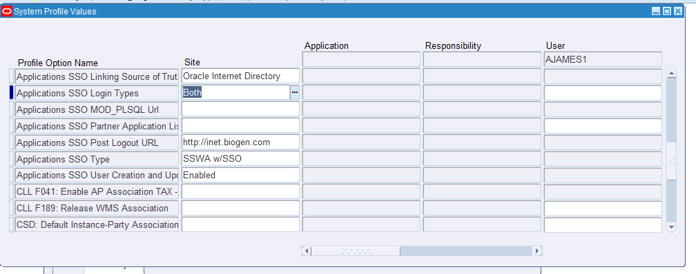 SSO User Login Issue 