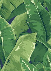 banana leaf leaves bold jaima company sea tropical wallpapers palm