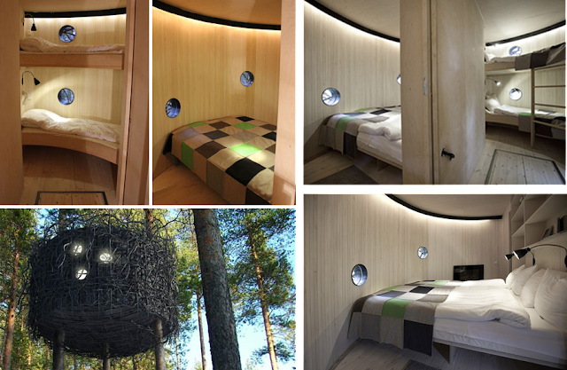 The Bird Nest, un hotel nido entre los árboles. Habitaciones interiores.
