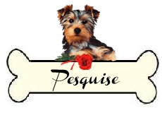 pesquise