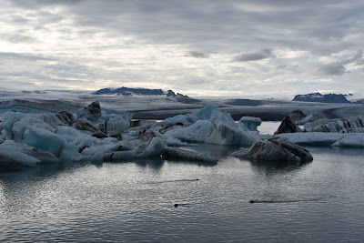Islandia - 12 dias por libre - Blogs de Islandia - Día 05:De Vik a Djúpivogur. Glacier Walk Vatnajökull,Jökulsárlón y Diamond Beach (24)