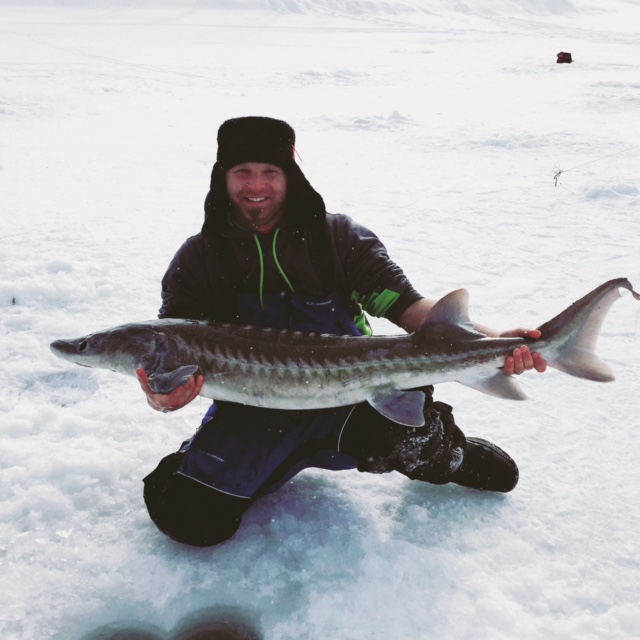Idaho Pursuit Sturgeon Through The Ice!!!