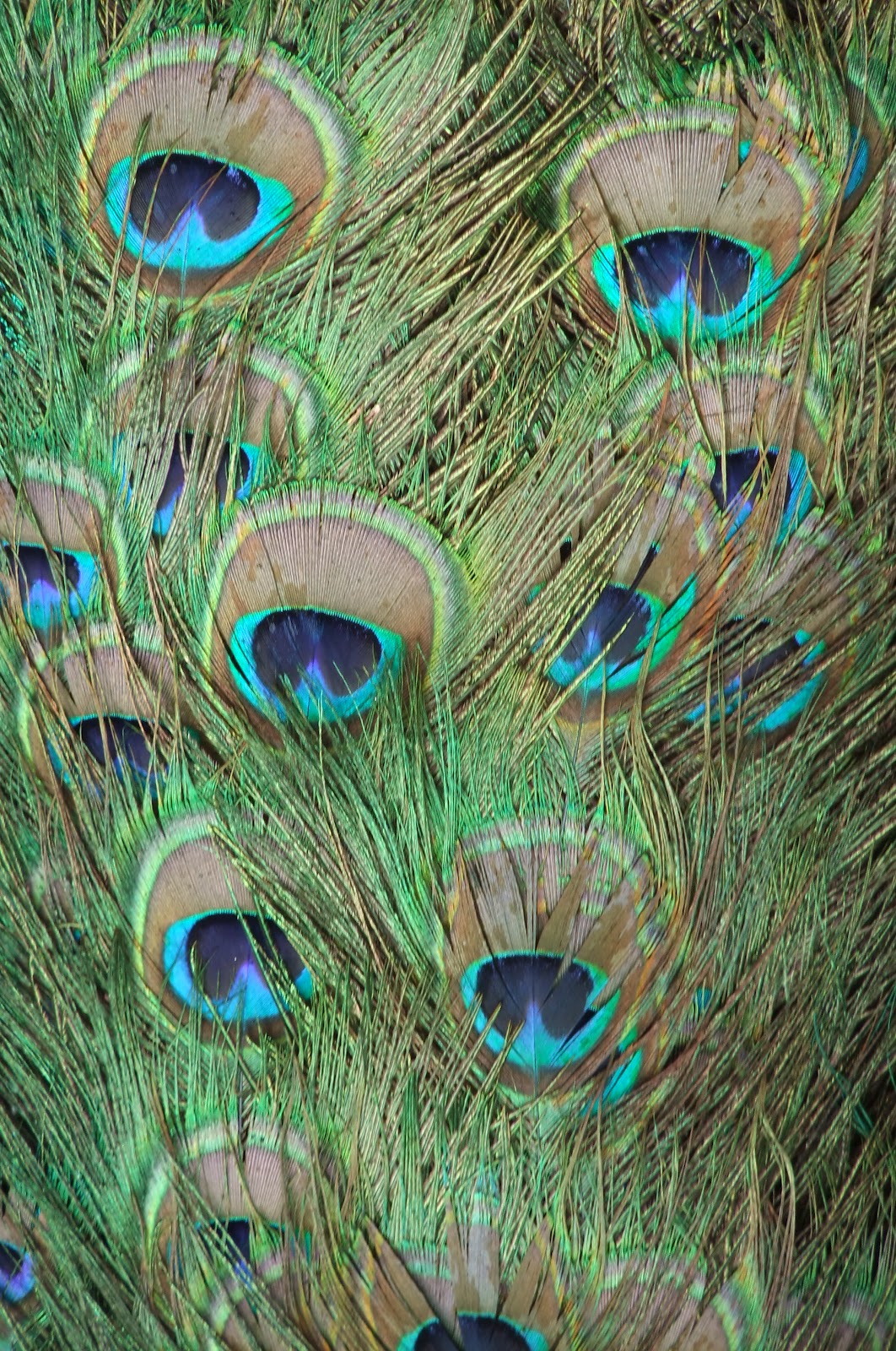 Beautiful Print inspiration photos