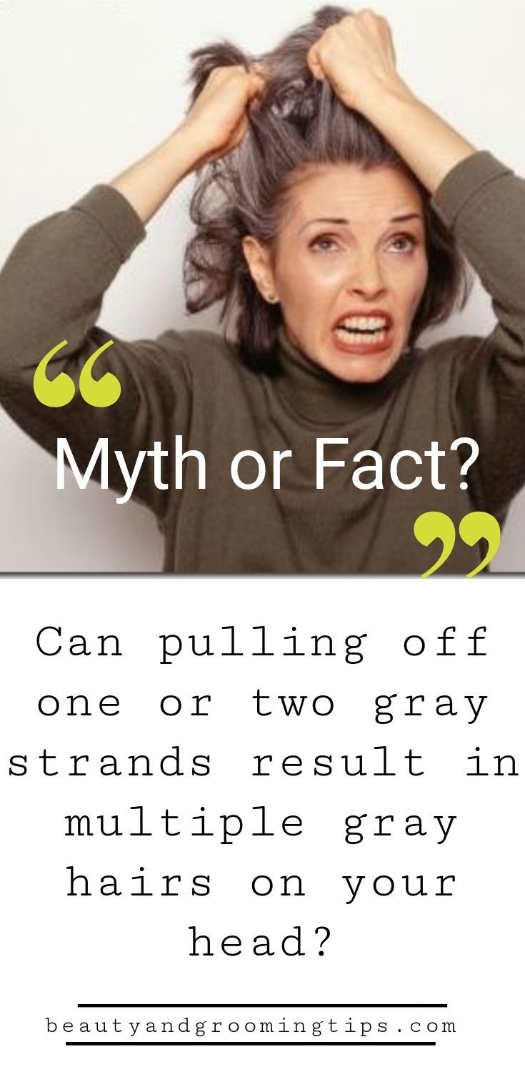 Myth Plucking gray hair makes multiple gray hairs to appear Beauty