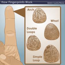 Fingerprints and The Holy Quran