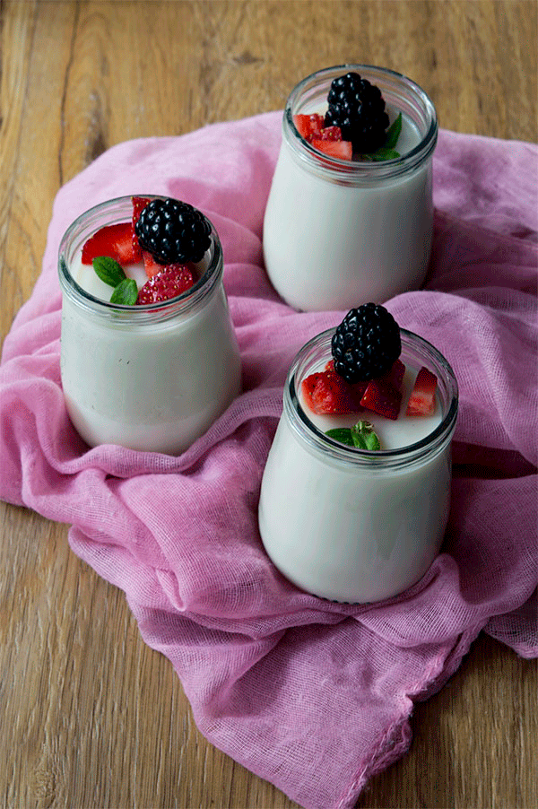 GELATINA DE LECHE A LA VAINILLA TuvesyyoHago