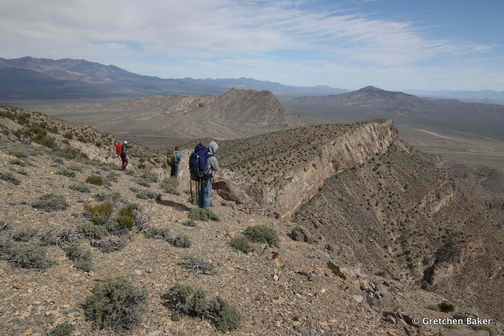 Desert Survivor Exploring the New Basin and Range National Monument