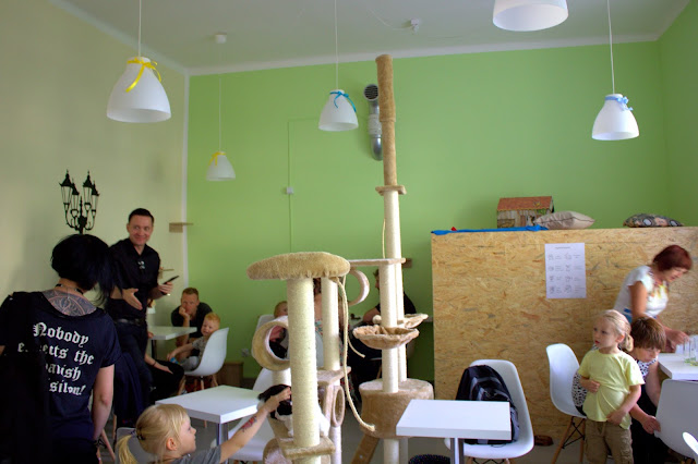 IMG_9400.CR2.jpg
